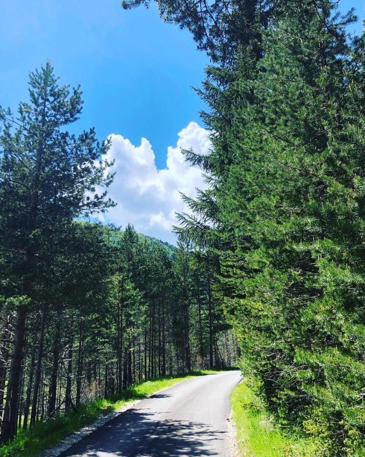 Bojovic Apartment Zabljak (Zabljak)