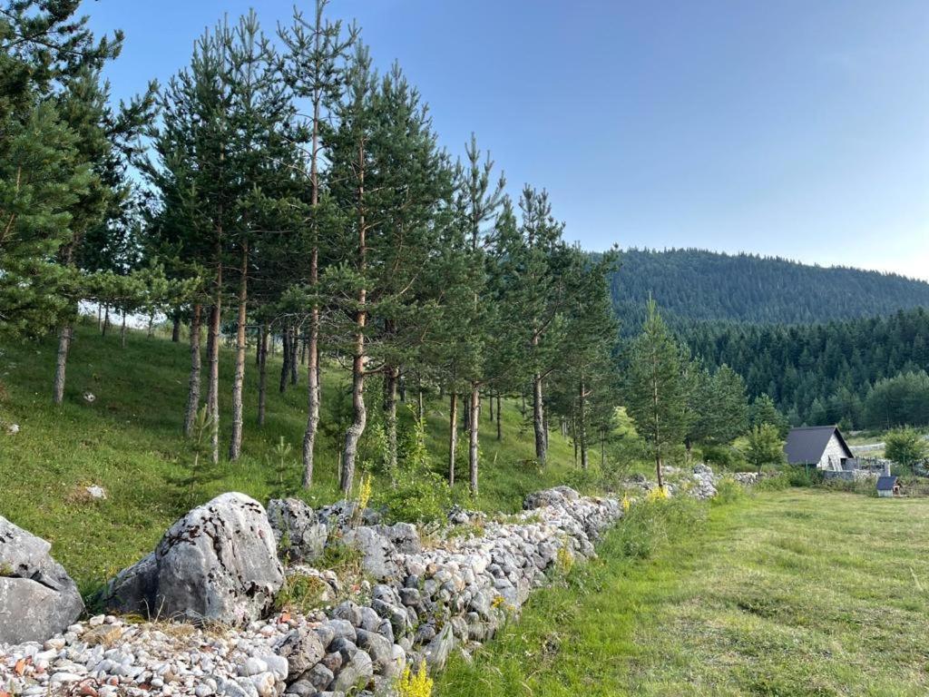 Apartment Bojovic Zabljak (Zabljak)